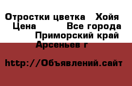 Отростки цветка  “Хойя“ › Цена ­ 300 - Все города  »    . Приморский край,Арсеньев г.
